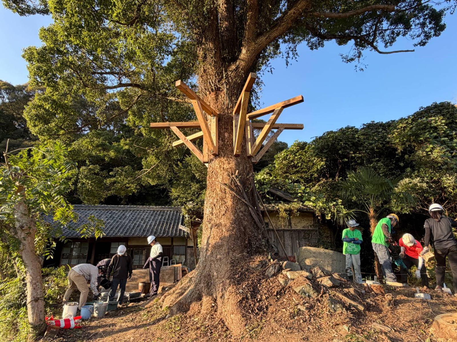大きな木の幹に、放射状に木材の構造体が取り付けられている。周囲で作業する参加者